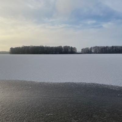 Img 89491