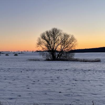 Img 99951