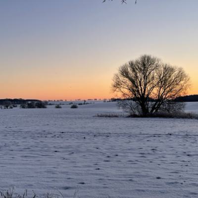 Img 99961
