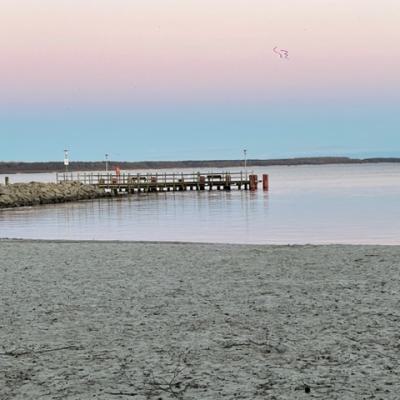Img 35141