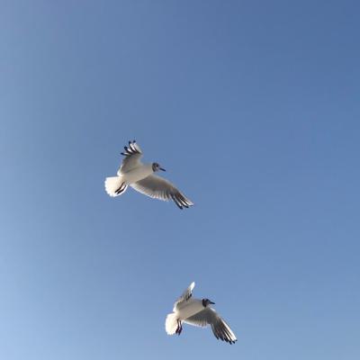 2f0b85ab 4bdd 41cd 96af 9208df5ac5021