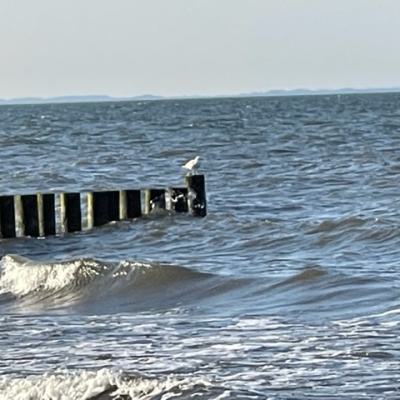 Img 73891